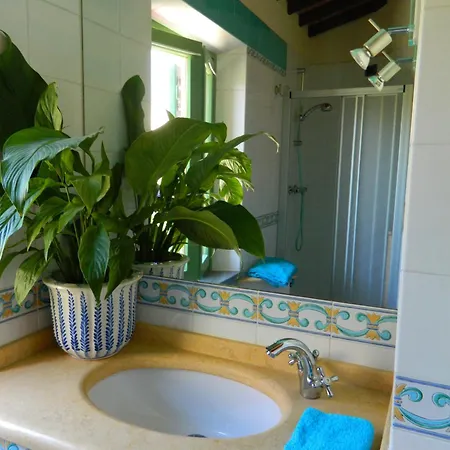 Il Pino By Vacavilla Willa