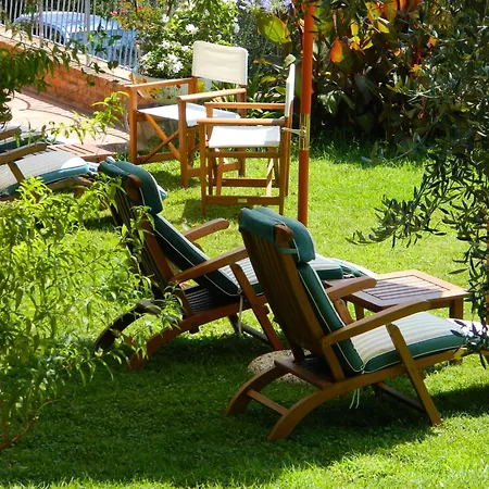 Il Pino By Vacavilla